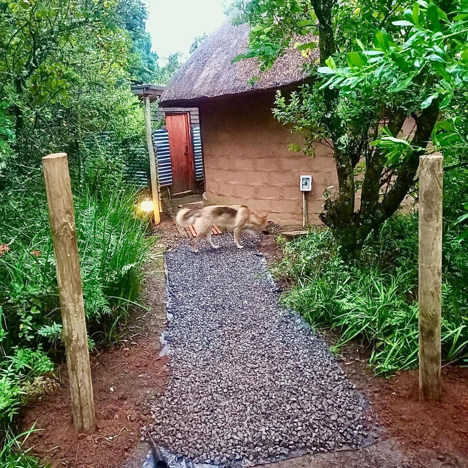 Drakensberg Inkosana Lodge Champagne Valley Exterior foto