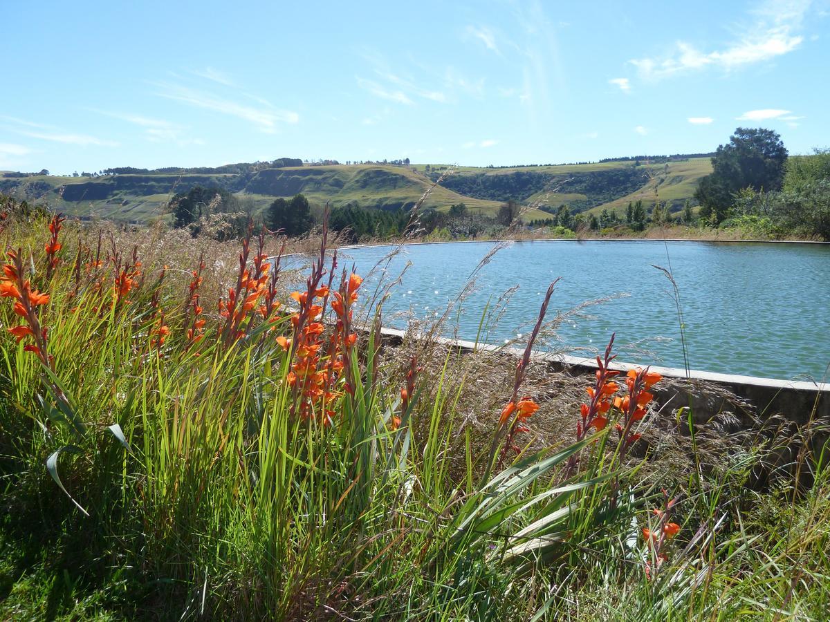 Drakensberg Inkosana Lodge Champagne Valley Exterior foto