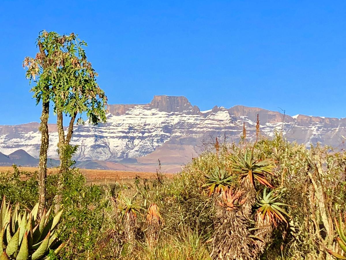 Drakensberg Inkosana Lodge Champagne Valley Exterior foto